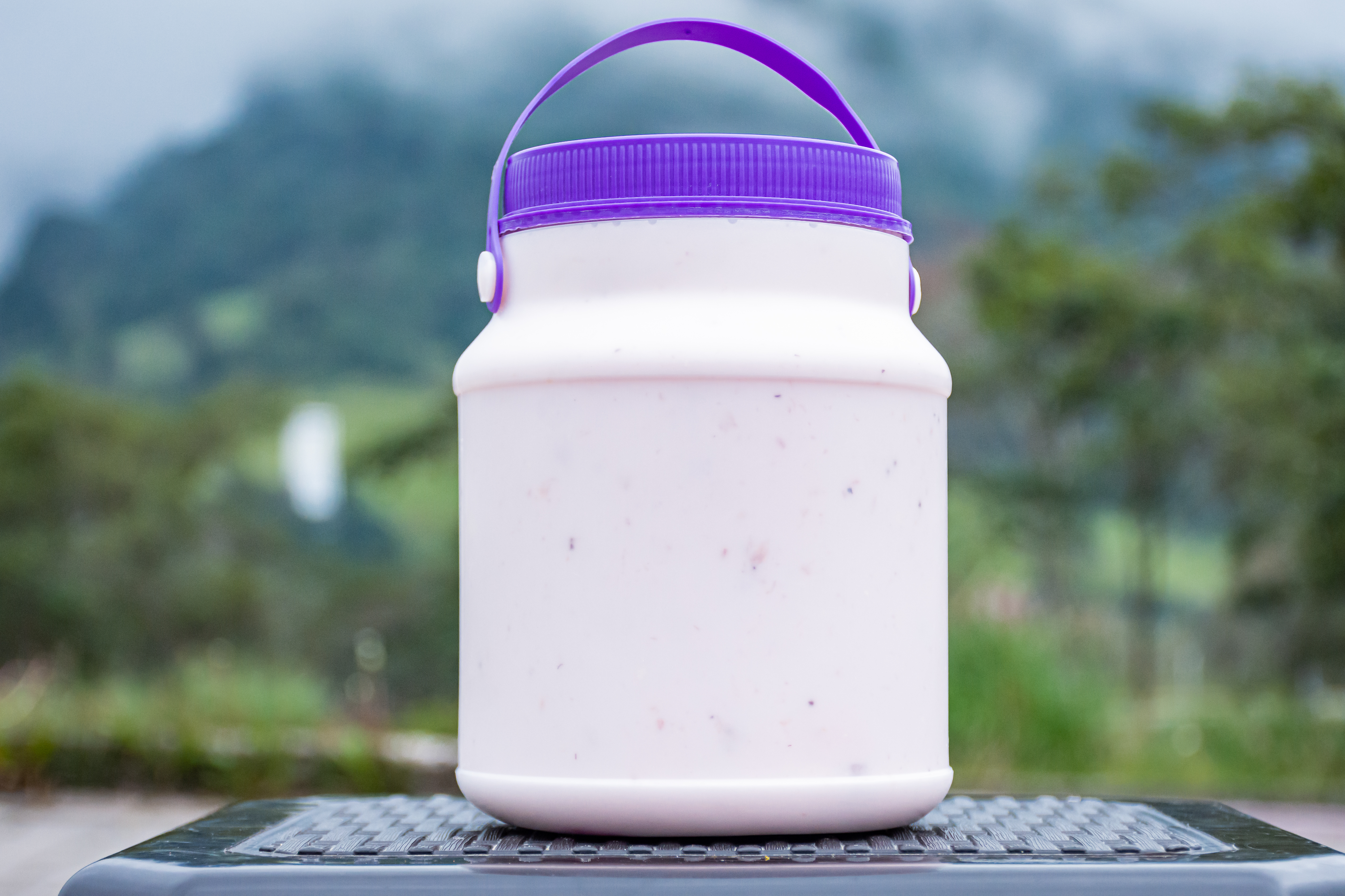 Yogurt de Mora
